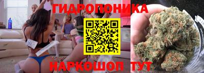 стаф Новокубанск