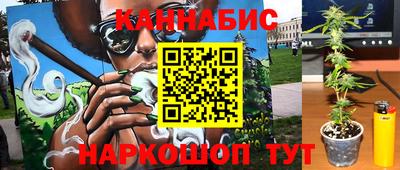 стаф Новокубанск